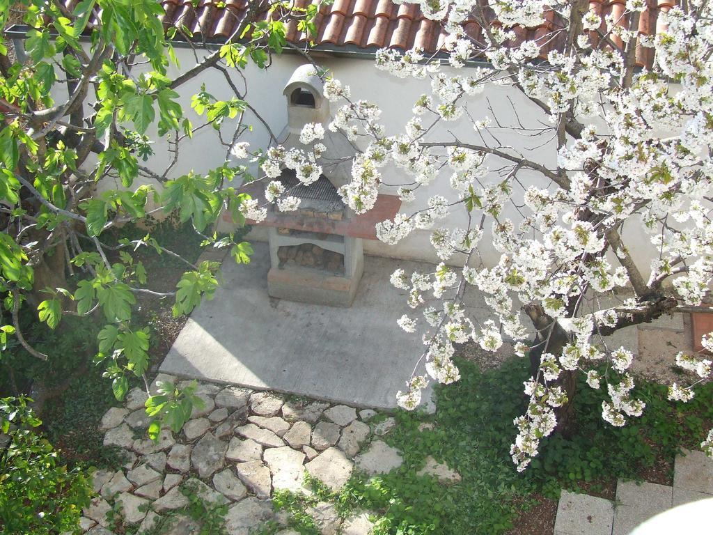 Villa Dalmatia Задар Экстерьер фото